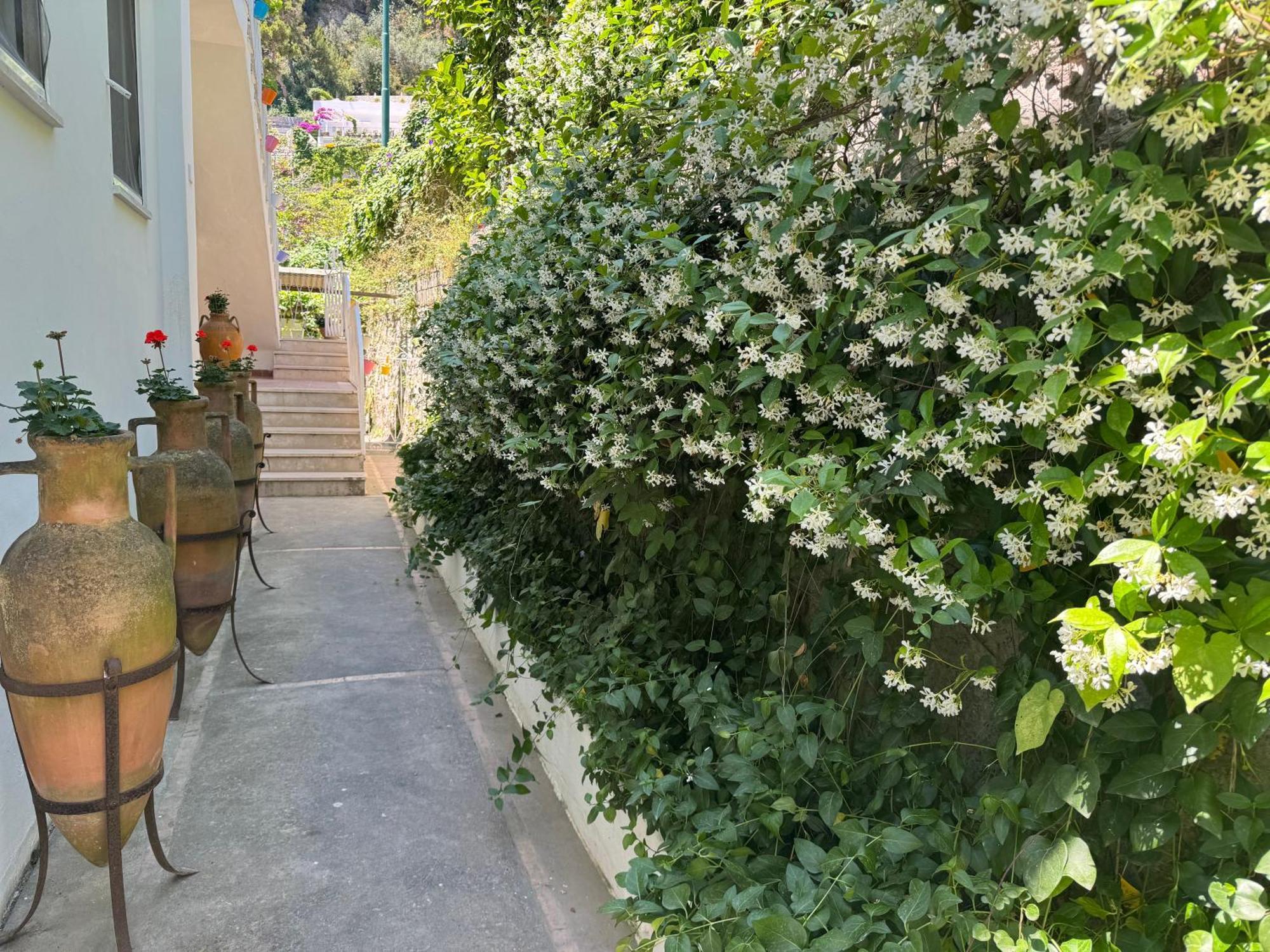 Villa Striano Boutique Capri Ngoại thất bức ảnh